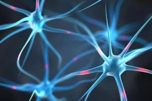Photo for website design on PEMF Therapy and Gamma Waves