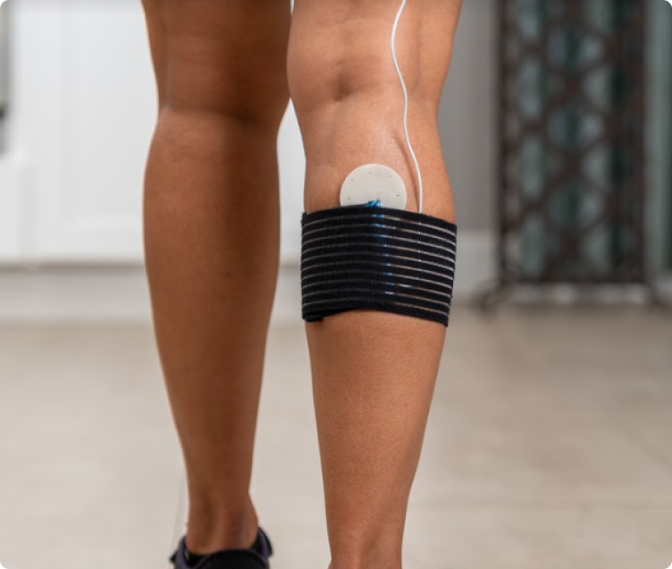 Coil pad strapped to the back of a calf