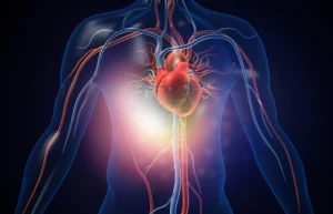 An X-rayed rendering of the human body and the heart, along with how blood is pumped throughout the body with arteries and veins.