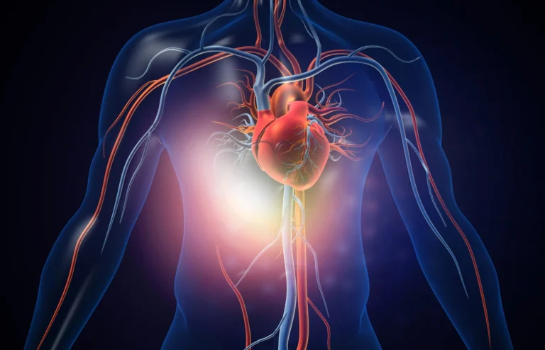 An X-rayed rendering of the human body and the heart, along with how blood is pumped throughout the body with arteries and veins.